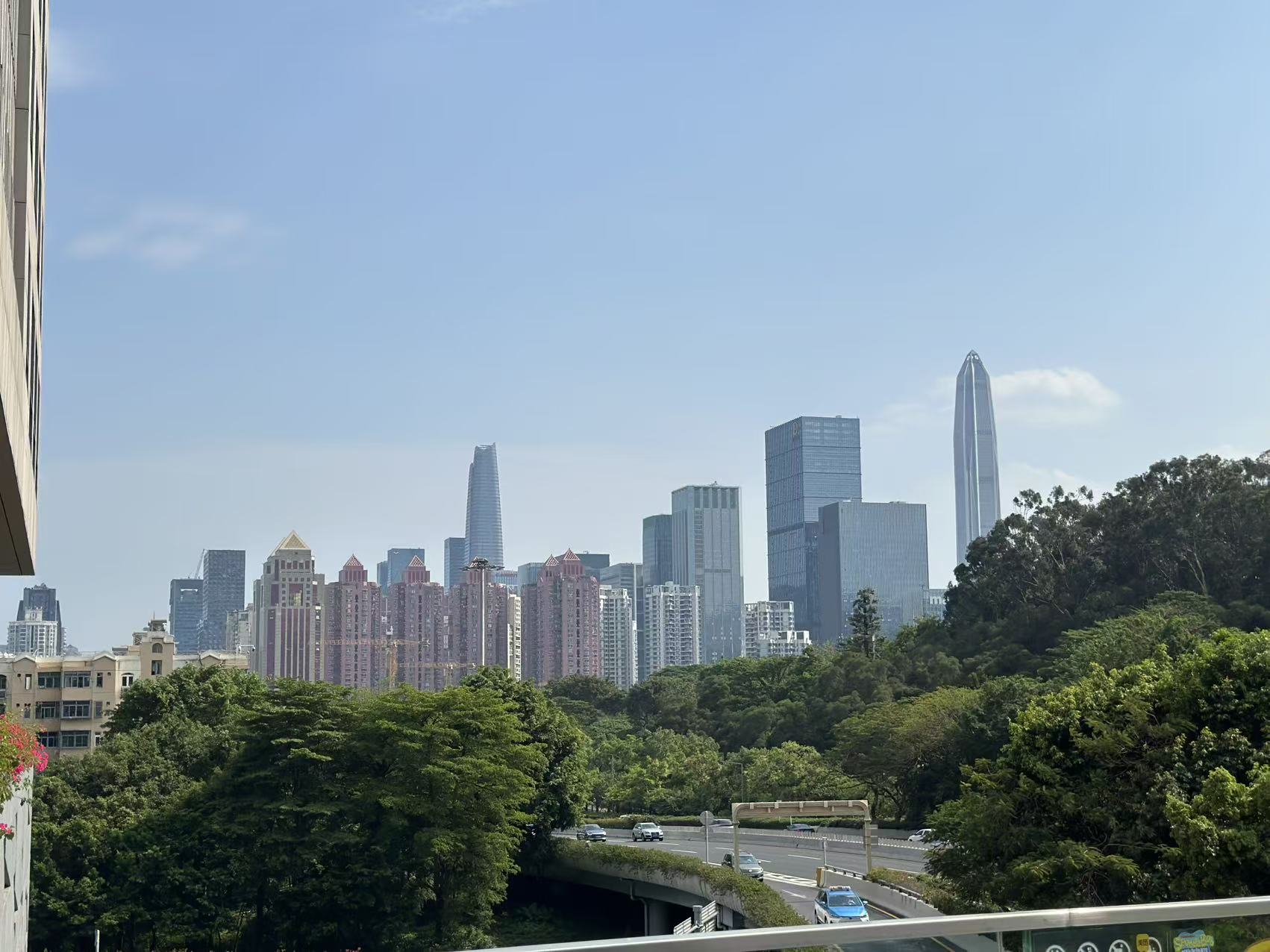 Shenzhen Skyline